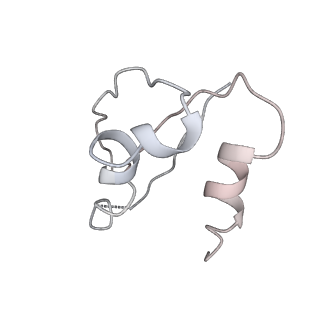 10713_6y7c_U_v1-0
Early cytoplasmic yeast pre-40S particle (purified with Tsr1 as bait)