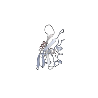 10713_6y7c_Y_v1-0
Early cytoplasmic yeast pre-40S particle (purified with Tsr1 as bait)