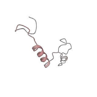10713_6y7c_e_v1-0
Early cytoplasmic yeast pre-40S particle (purified with Tsr1 as bait)