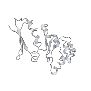 10713_6y7c_h_v1-0
Early cytoplasmic yeast pre-40S particle (purified with Tsr1 as bait)