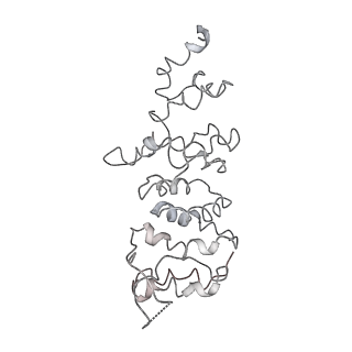 10713_6y7c_i_v1-0
Early cytoplasmic yeast pre-40S particle (purified with Tsr1 as bait)