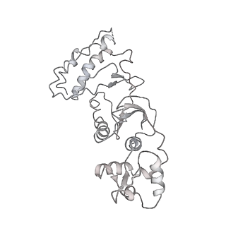 10713_6y7c_l_v1-0
Early cytoplasmic yeast pre-40S particle (purified with Tsr1 as bait)