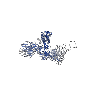 33650_7y71_A_v1-1
SARS-CoV-2 spike glycoprotein trimer complexed with Fab fragment of anti-RBD antibody E7