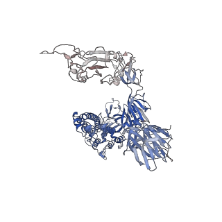 33650_7y71_B_v1-1
SARS-CoV-2 spike glycoprotein trimer complexed with Fab fragment of anti-RBD antibody E7
