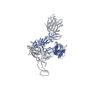 33650_7y71_C_v1-1
SARS-CoV-2 spike glycoprotein trimer complexed with Fab fragment of anti-RBD antibody E7