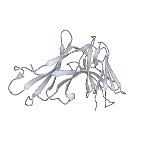 33650_7y71_O_v1-1
SARS-CoV-2 spike glycoprotein trimer complexed with Fab fragment of anti-RBD antibody E7