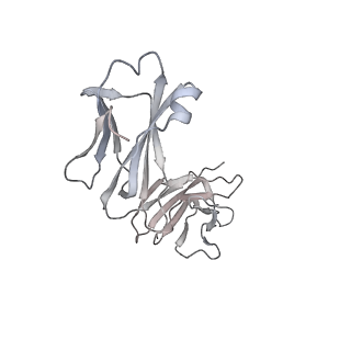 33650_7y71_P_v1-1
SARS-CoV-2 spike glycoprotein trimer complexed with Fab fragment of anti-RBD antibody E7