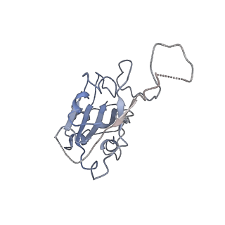33651_7y72_A_v1-1
SARS-CoV-2 spike glycoprotein trimer complexed with Fab fragment of anti-RBD antibody E7 (focused refinement on Fab-RBD interface)