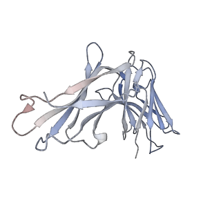 33651_7y72_O_v1-1
SARS-CoV-2 spike glycoprotein trimer complexed with Fab fragment of anti-RBD antibody E7 (focused refinement on Fab-RBD interface)
