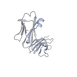 33651_7y72_P_v1-1
SARS-CoV-2 spike glycoprotein trimer complexed with Fab fragment of anti-RBD antibody E7 (focused refinement on Fab-RBD interface)