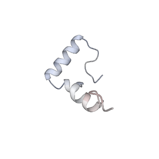 33660_7y7c_1_v1-0
Structure of the Bacterial Ribosome with human tRNA Asp(G34) and mRNA(GAU)