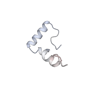 33660_7y7c_1_v2-2
Structure of the Bacterial Ribosome with human tRNA Asp(G34) and mRNA(GAU)