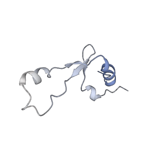 33660_7y7c_2_v1-0
Structure of the Bacterial Ribosome with human tRNA Asp(G34) and mRNA(GAU)