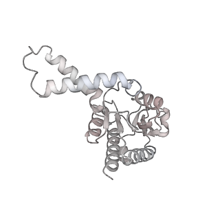 33660_7y7c_B_v1-0
Structure of the Bacterial Ribosome with human tRNA Asp(G34) and mRNA(GAU)