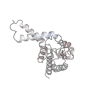 33660_7y7c_B_v2-2
Structure of the Bacterial Ribosome with human tRNA Asp(G34) and mRNA(GAU)