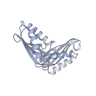 33660_7y7c_C_v1-0
Structure of the Bacterial Ribosome with human tRNA Asp(G34) and mRNA(GAU)