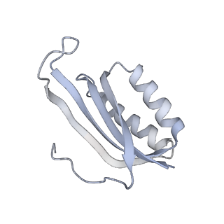 33660_7y7c_F_v1-0
Structure of the Bacterial Ribosome with human tRNA Asp(G34) and mRNA(GAU)