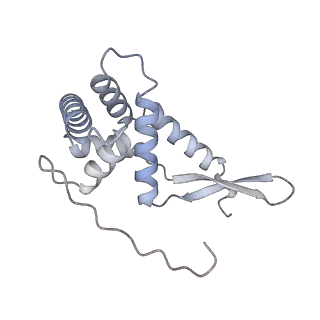 33660_7y7c_G_v1-0
Structure of the Bacterial Ribosome with human tRNA Asp(G34) and mRNA(GAU)