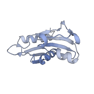33660_7y7c_H_v1-0
Structure of the Bacterial Ribosome with human tRNA Asp(G34) and mRNA(GAU)