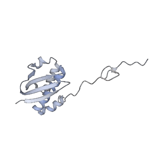 33660_7y7c_I_v1-0
Structure of the Bacterial Ribosome with human tRNA Asp(G34) and mRNA(GAU)