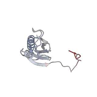 33660_7y7c_K_v1-0
Structure of the Bacterial Ribosome with human tRNA Asp(G34) and mRNA(GAU)