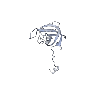 33660_7y7c_L_v2-2
Structure of the Bacterial Ribosome with human tRNA Asp(G34) and mRNA(GAU)
