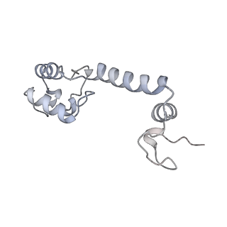 33660_7y7c_M_v1-0
Structure of the Bacterial Ribosome with human tRNA Asp(G34) and mRNA(GAU)