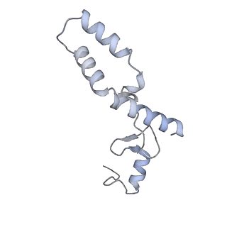 33660_7y7c_N_v2-2
Structure of the Bacterial Ribosome with human tRNA Asp(G34) and mRNA(GAU)