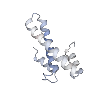 33660_7y7c_O_v1-0
Structure of the Bacterial Ribosome with human tRNA Asp(G34) and mRNA(GAU)