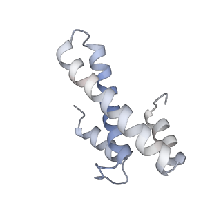 33660_7y7c_O_v2-2
Structure of the Bacterial Ribosome with human tRNA Asp(G34) and mRNA(GAU)