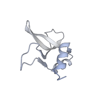 33660_7y7c_P_v1-0
Structure of the Bacterial Ribosome with human tRNA Asp(G34) and mRNA(GAU)