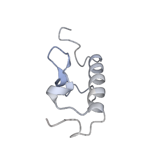 33660_7y7c_R_v1-0
Structure of the Bacterial Ribosome with human tRNA Asp(G34) and mRNA(GAU)