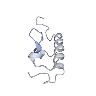 33660_7y7c_R_v2-2
Structure of the Bacterial Ribosome with human tRNA Asp(G34) and mRNA(GAU)