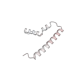 33660_7y7c_U_v1-0
Structure of the Bacterial Ribosome with human tRNA Asp(G34) and mRNA(GAU)
