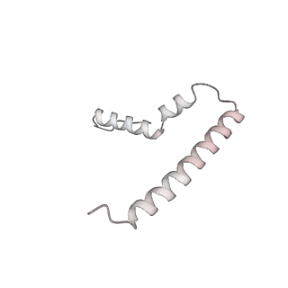 33660_7y7c_U_v2-2
Structure of the Bacterial Ribosome with human tRNA Asp(G34) and mRNA(GAU)