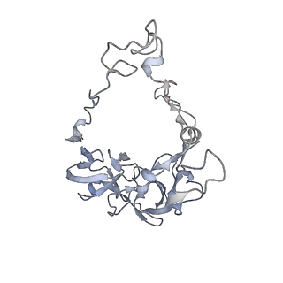 33660_7y7c_c_v2-2
Structure of the Bacterial Ribosome with human tRNA Asp(G34) and mRNA(GAU)