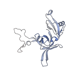 33660_7y7c_d_v1-0
Structure of the Bacterial Ribosome with human tRNA Asp(G34) and mRNA(GAU)