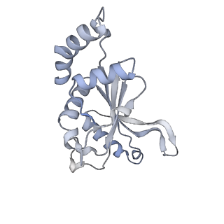 33660_7y7c_f_v1-0
Structure of the Bacterial Ribosome with human tRNA Asp(G34) and mRNA(GAU)