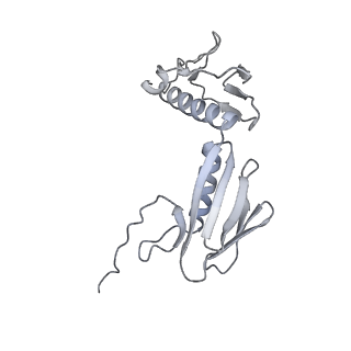 33660_7y7c_g_v1-0
Structure of the Bacterial Ribosome with human tRNA Asp(G34) and mRNA(GAU)