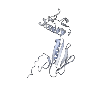 33660_7y7c_g_v2-2
Structure of the Bacterial Ribosome with human tRNA Asp(G34) and mRNA(GAU)