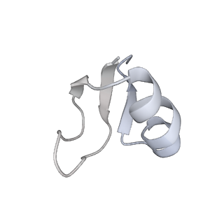 33660_7y7c_h_v1-0
Structure of the Bacterial Ribosome with human tRNA Asp(G34) and mRNA(GAU)