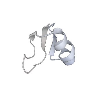 33660_7y7c_h_v2-2
Structure of the Bacterial Ribosome with human tRNA Asp(G34) and mRNA(GAU)