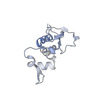 33660_7y7c_i_v1-0
Structure of the Bacterial Ribosome with human tRNA Asp(G34) and mRNA(GAU)