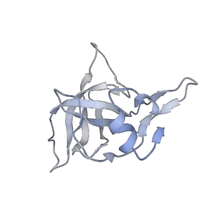 33660_7y7c_j_v1-0
Structure of the Bacterial Ribosome with human tRNA Asp(G34) and mRNA(GAU)