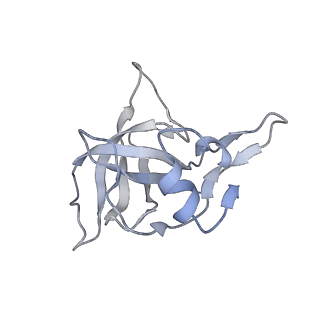 33660_7y7c_j_v2-2
Structure of the Bacterial Ribosome with human tRNA Asp(G34) and mRNA(GAU)