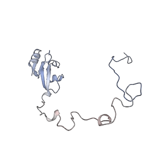 33660_7y7c_k_v1-0
Structure of the Bacterial Ribosome with human tRNA Asp(G34) and mRNA(GAU)