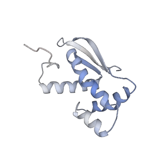 33660_7y7c_m_v1-0
Structure of the Bacterial Ribosome with human tRNA Asp(G34) and mRNA(GAU)
