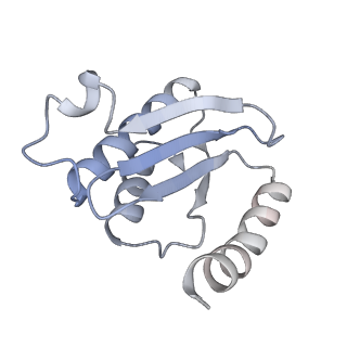 33660_7y7c_n_v1-0
Structure of the Bacterial Ribosome with human tRNA Asp(G34) and mRNA(GAU)