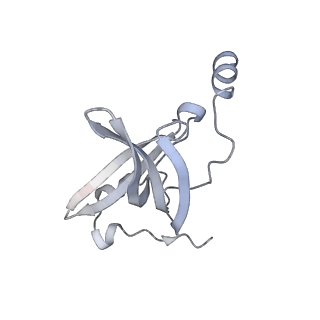 33660_7y7c_o_v1-0
Structure of the Bacterial Ribosome with human tRNA Asp(G34) and mRNA(GAU)