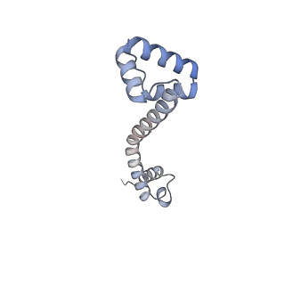 33660_7y7c_p_v2-2
Structure of the Bacterial Ribosome with human tRNA Asp(G34) and mRNA(GAU)